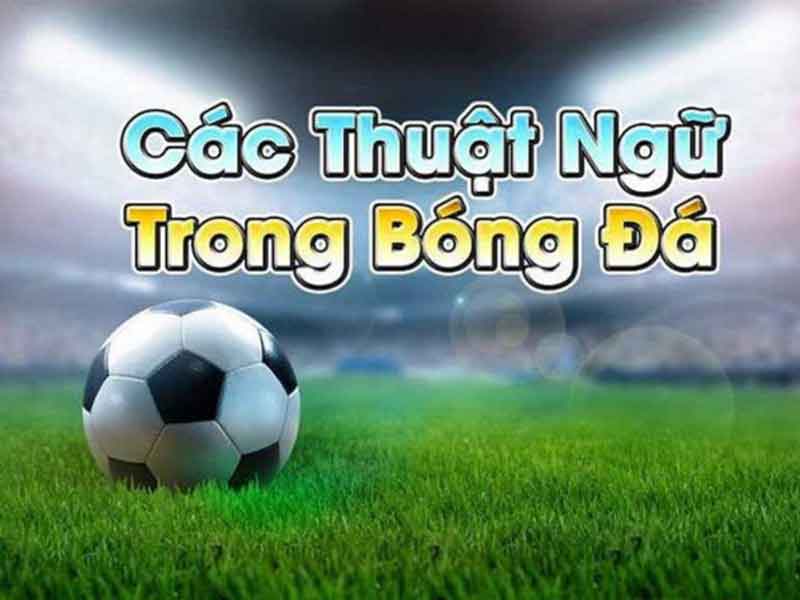 Một số thuật ngữ khi xem tỷ lệ kèo bóng đá